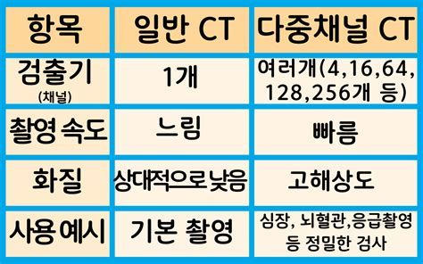 뇌검사비용