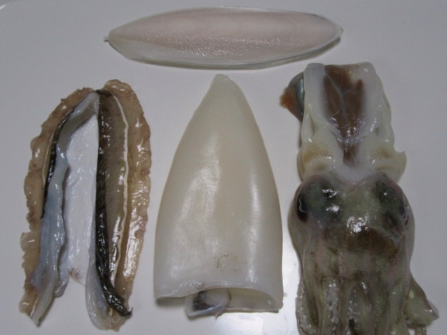 갑오징어 손질법