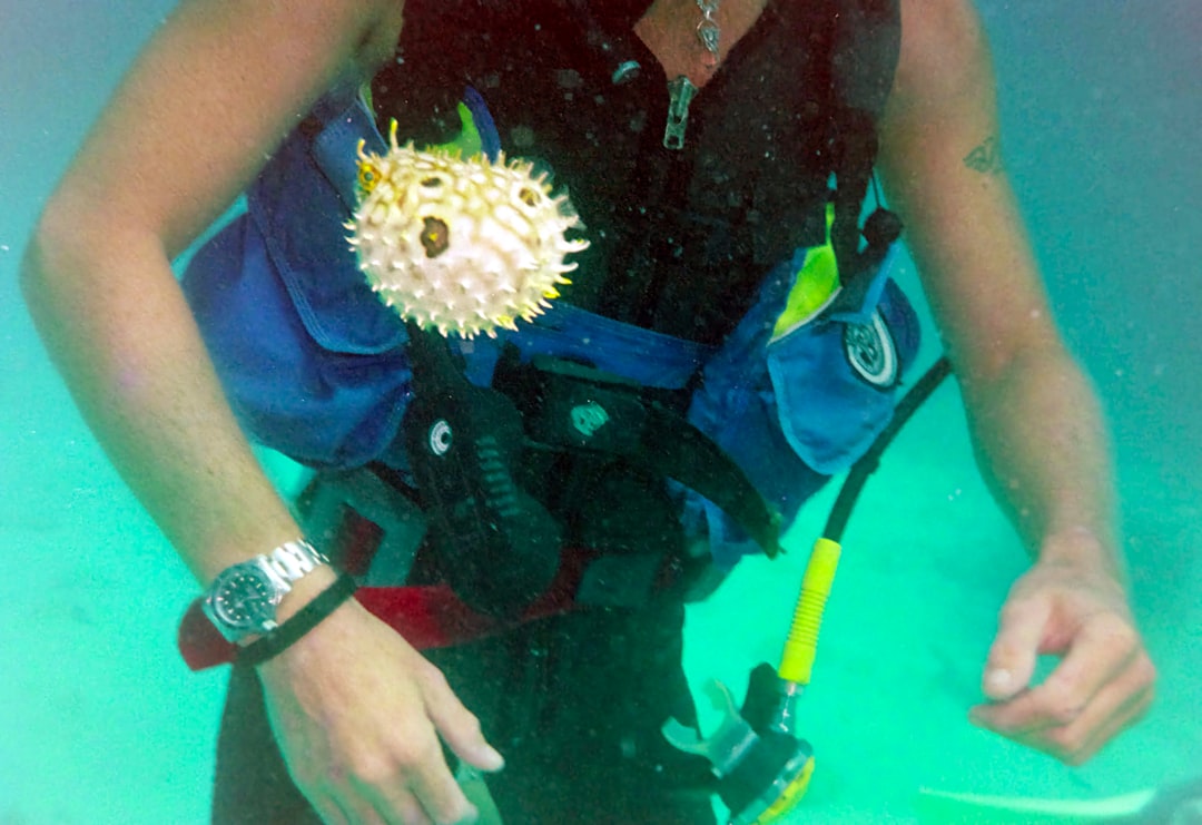 Puffer
