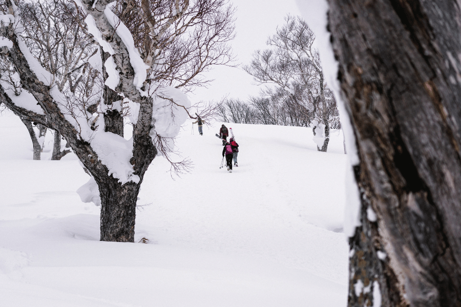 겨울에 가면 좋은 일본 여행지