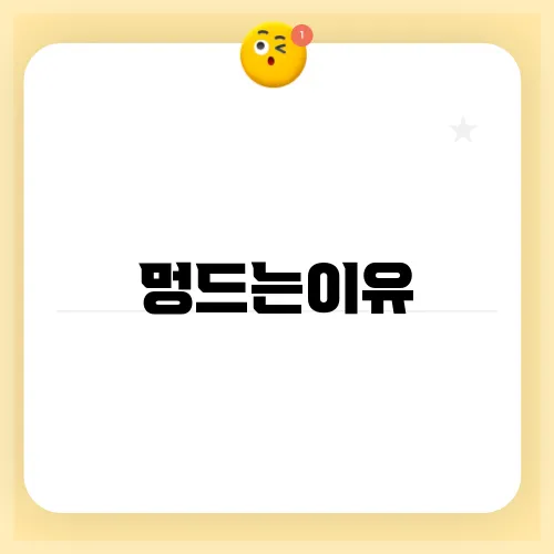 멍드는이유