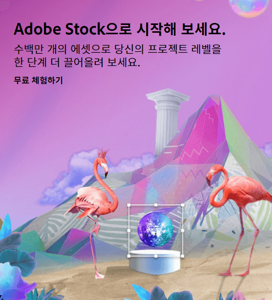 어도비 리더