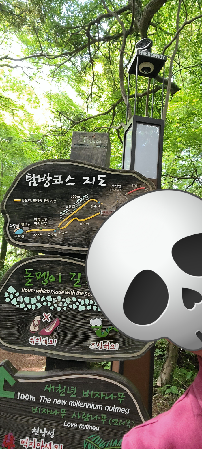 제주도여행 제주도 비자림 자연풍경 산림욕 오래된나무 비자나무 탐방코스지도