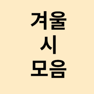 겨울 시 모음 베스트10 이해인