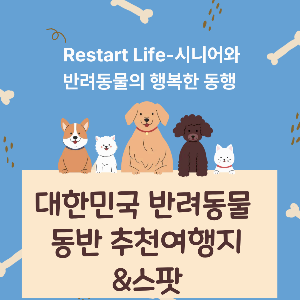 반려 동물 관련 대표 썸네일 이미지에 반려 동물 동반 추천 여행지 팻말을 같이 들고 있다