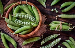 암을 이기는 생활습관