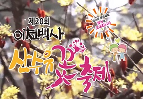 경기-이천-산수유-꽃축제