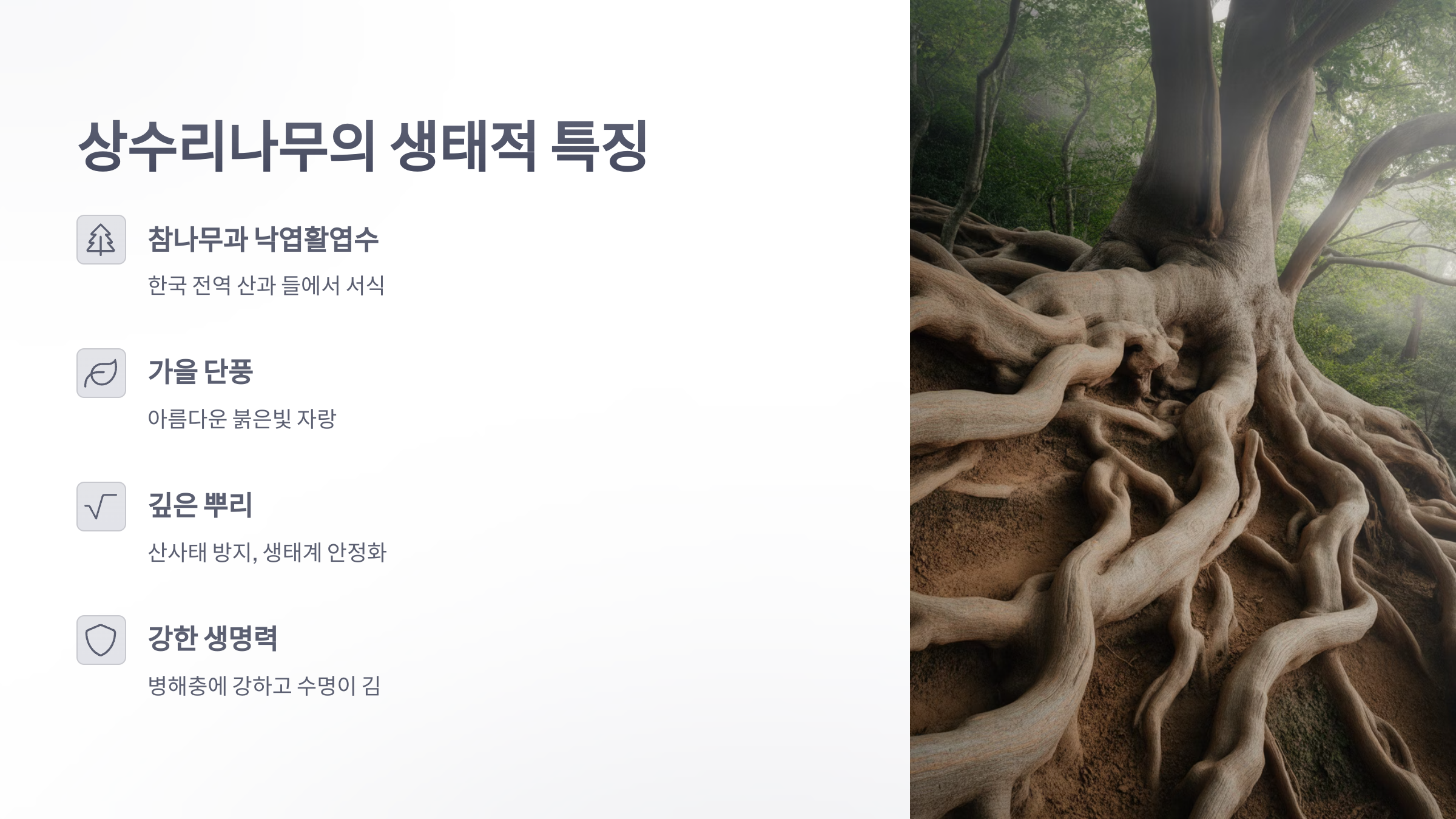 참조-상수리나무-2