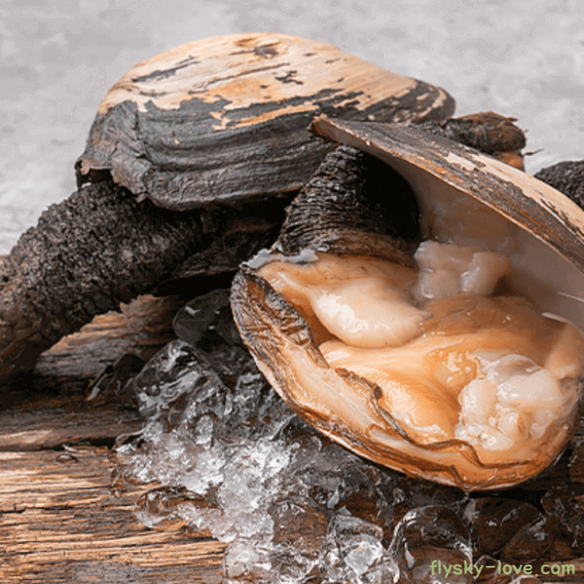 왕우럭조개 효능