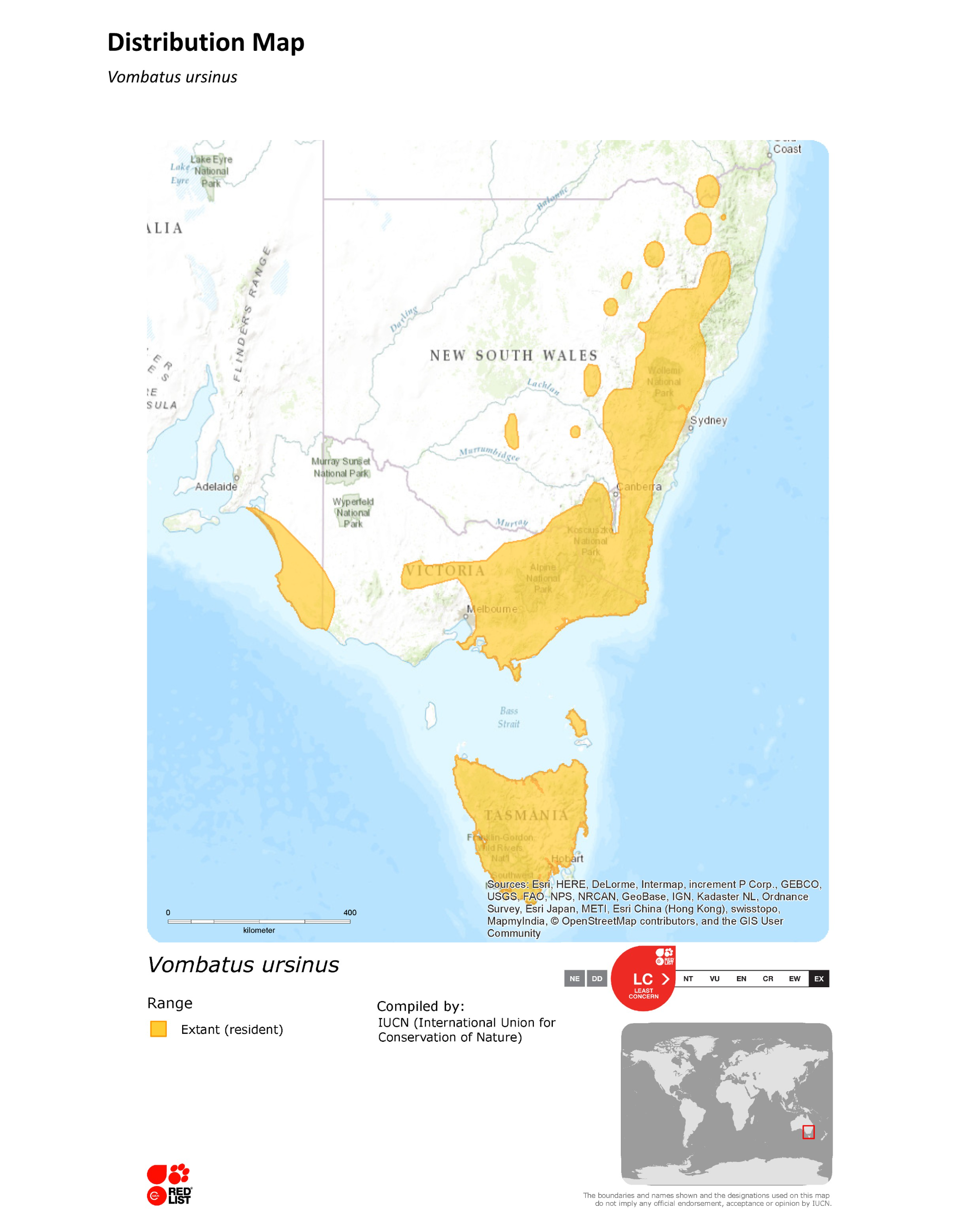 애기웜뱃 서식지
