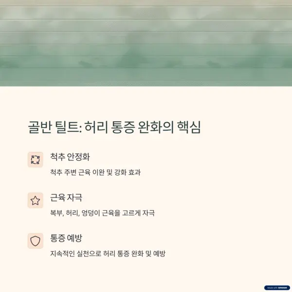 골반 틸트 운동의 허리 통증 완화 효과: 척추 안정화, 근육 자극, 통증 예방 설명