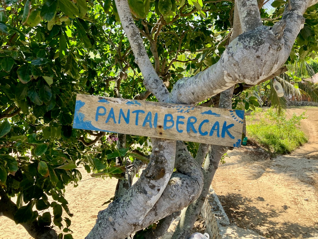 Local gem.
