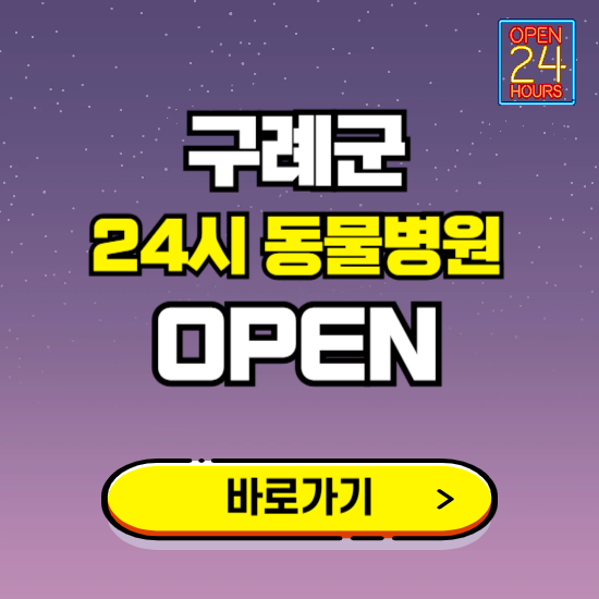 구례군 24시 동물병원 진료하는 곳 ❘ 설날 휴일 야간 심야 문여는곳 찾기 ❘ 응급진료