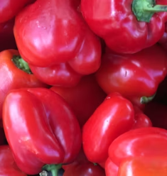 파프리카 효능 부작용 고르는법 칼로리