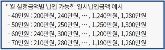 청년도약계좌-
파란테두리 흰바탕안
검은글씨
월 설정금액별 납입 가능한 일시납입 금액예시