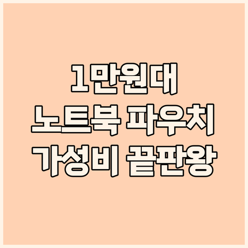 가성비 끝판왕 1만원대 노트북 파우치..