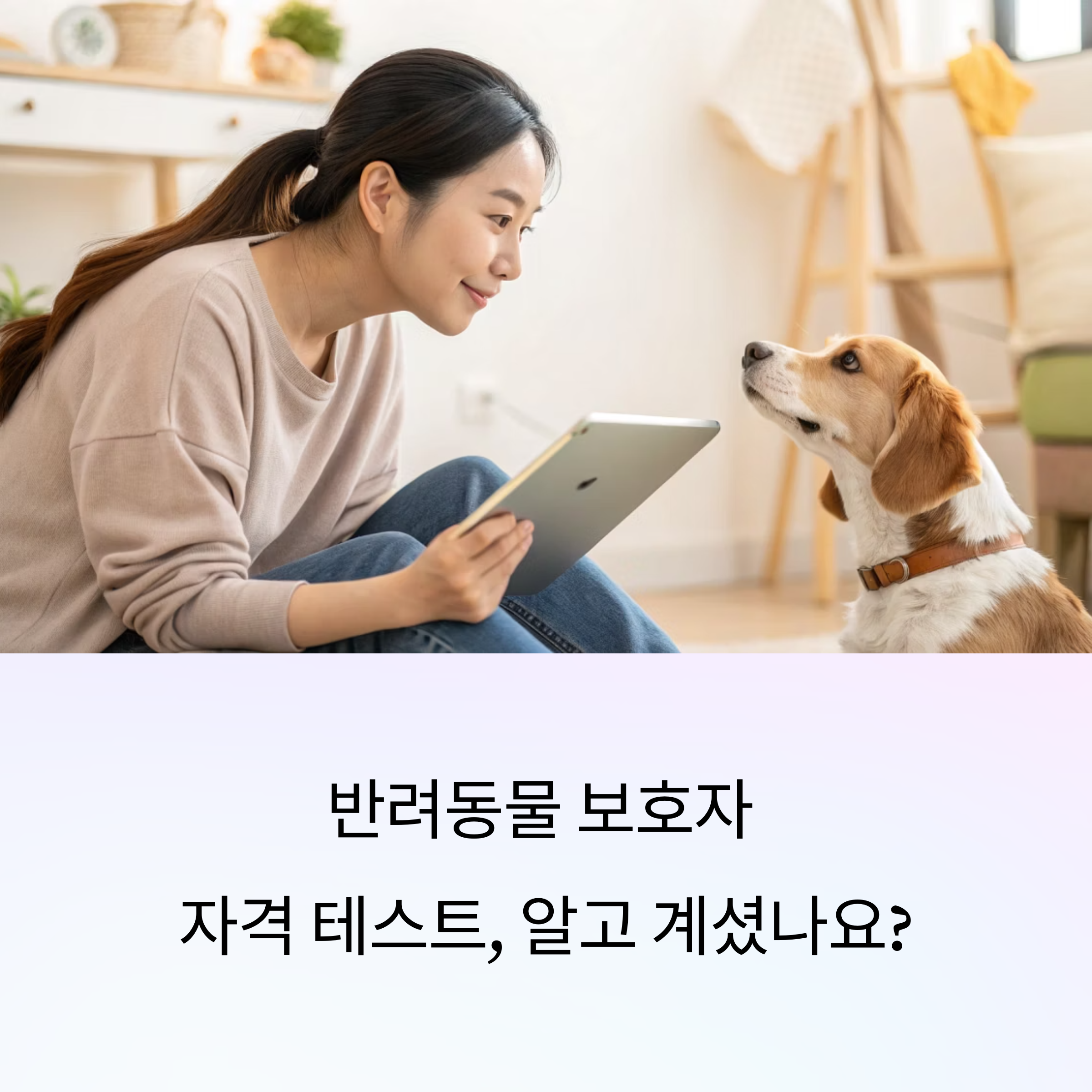 반려동물 보호자 자격 테스트란?