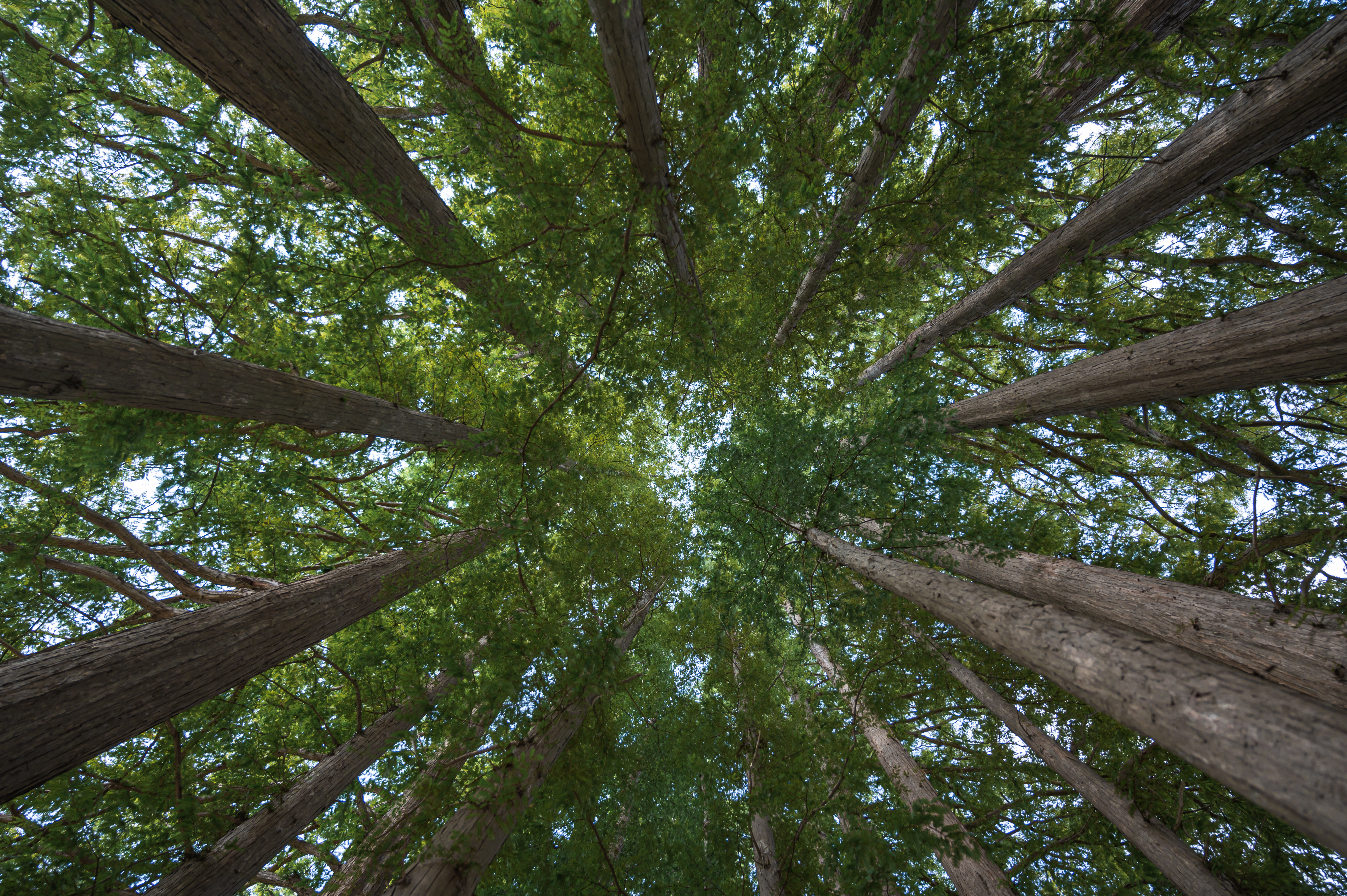 ์๊ฐํ ์ ์