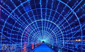 대덕물빛축제 기본일정과 프로그램 소개