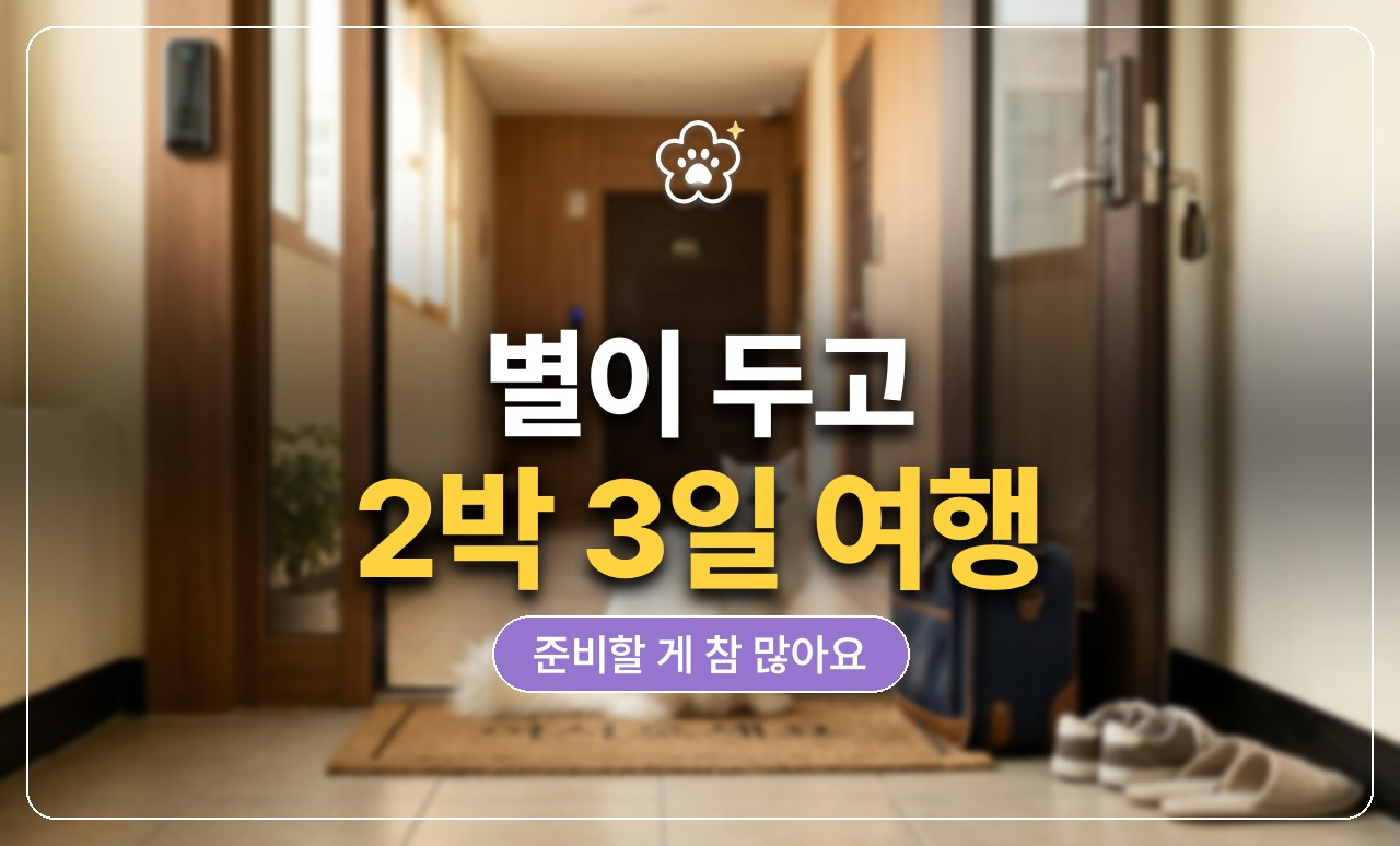 별이 두고 여행