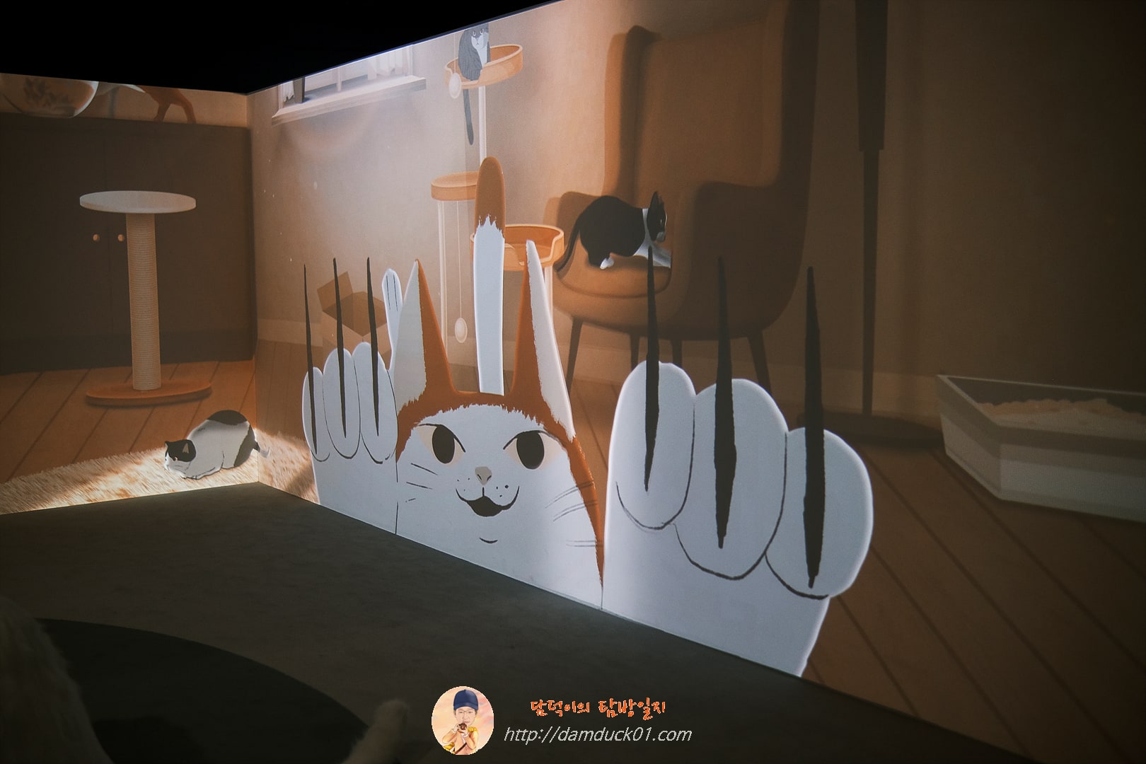 안방을 차지한 고양이