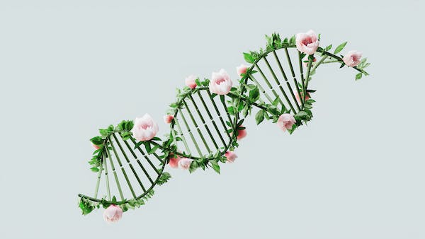 유전자 편집은 21세기에 가장 혁신적인 생명 과학의 발전 중 하나로 꼽힙니다. 우리의 DNA를 직접 조작하여 병을 치료하거나 식물의 특성을 바꾸는 기술로&#44; 그 가능성은 무궁무진합니다. 이 기술의 등장은 생명의 본질에 대한 근본적인 질문을 던지게 만들며&#44; 동시에 인류의 미래에 어떠한 변화를 가져올지에 대한 토론을 촉발하고 있습니다.