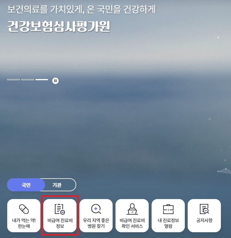 건강보험심사평가원 홈페이지