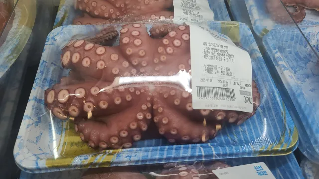 삶은 문어