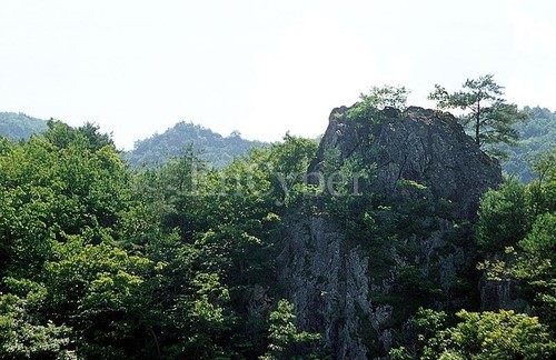 6월 국내 여행지 추천 베스트 10