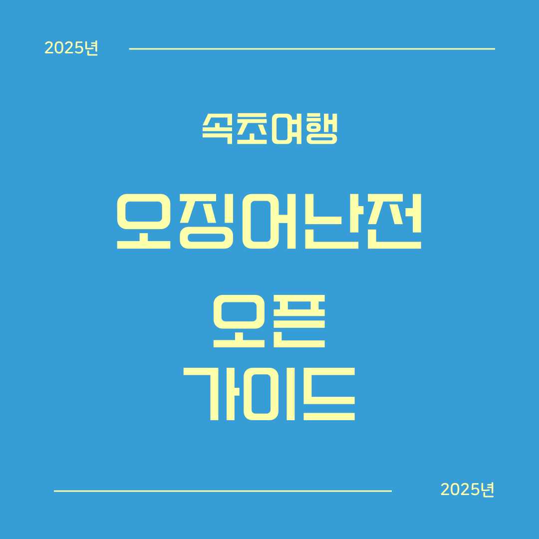 2025 5월 속초 오징어 난전 오픈