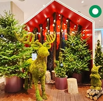 2024 한강페스티벌 겨울 축제 이벤트 기간 장소 프로그램 입장료 이용 시설 총정리