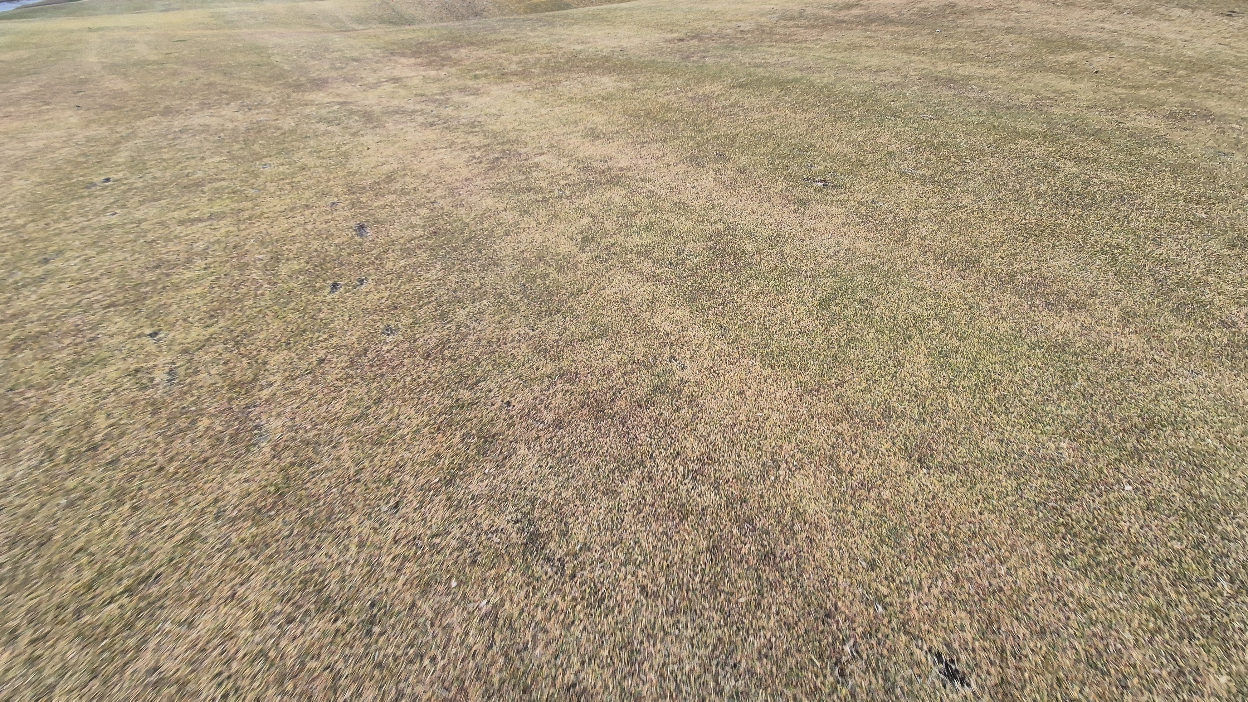 올데이 떼제베cc 가람-누리(서-남) 코스관리상태