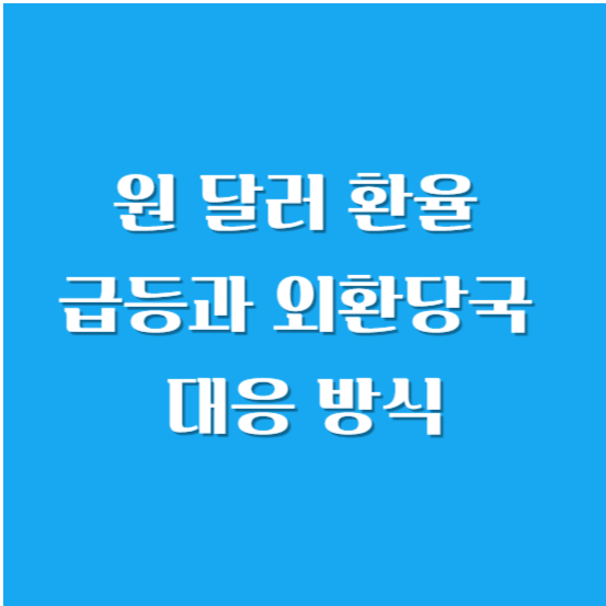 원 달러 환율 급등과 외환당국 대응 방식 자세히 알아보기