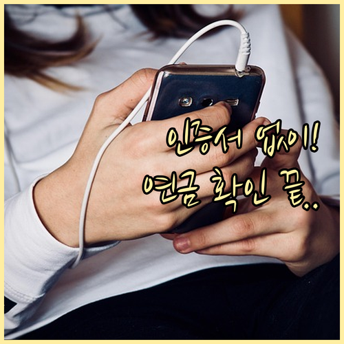 공동인증서 없이 국민연금 납부확인서 ..