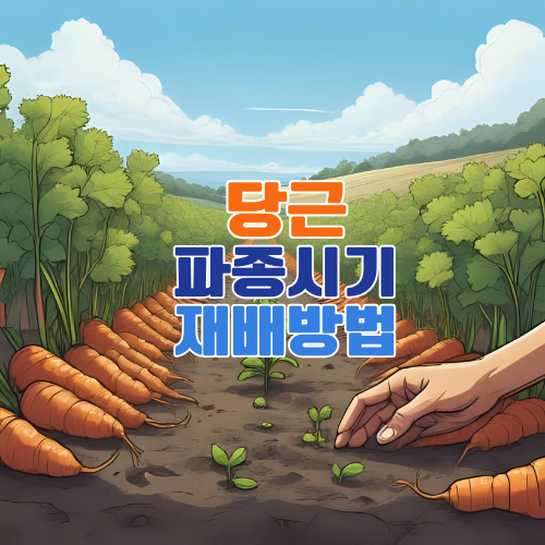 당근 파종시기와 재배법, 수확시기 총정리 &ndash; 초보자도 쉽게 키우는 당근 심는법