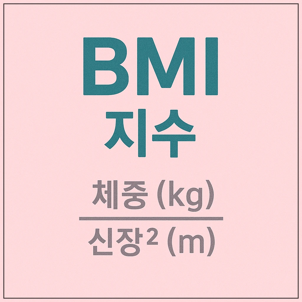 BMI지수