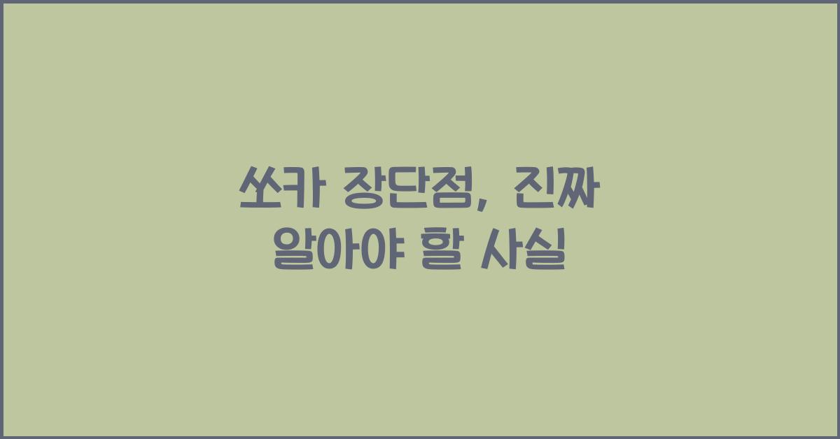 쏘카 장단점