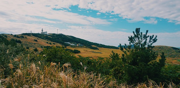 폭군의셰프 출연진 편성표 무료 다시보기