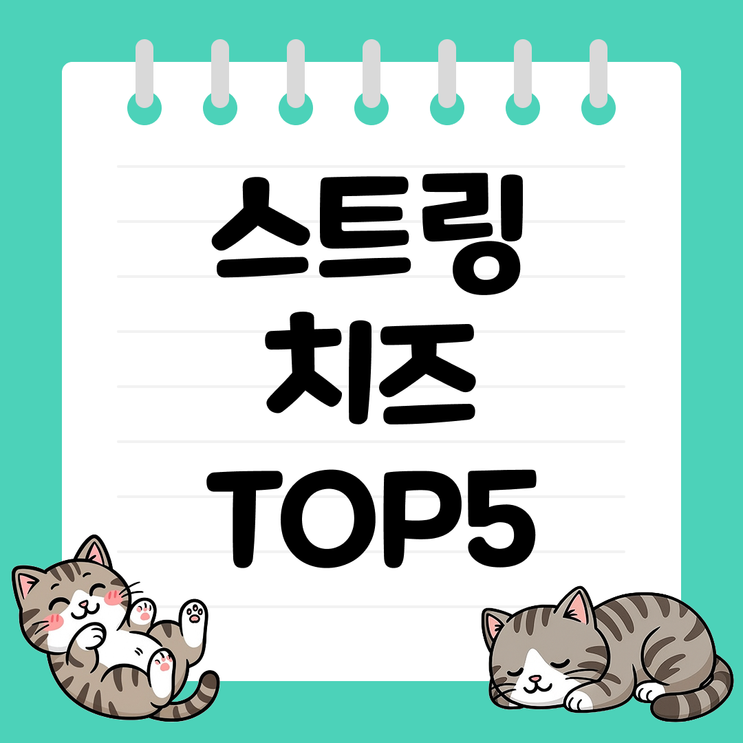 아이들 간식으로 좋은 스트링 치즈 추천 순위 TOP5