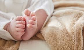 근로자녀장려금신청방법27