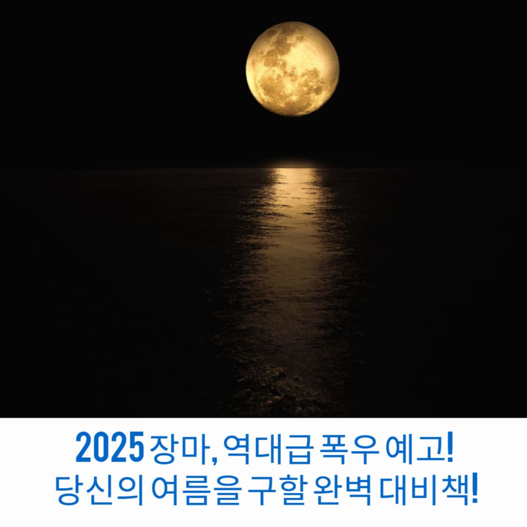 2025-장마-역대급-폭우-예고-당신의-여름을-구할-완벽-대비책-썸네일