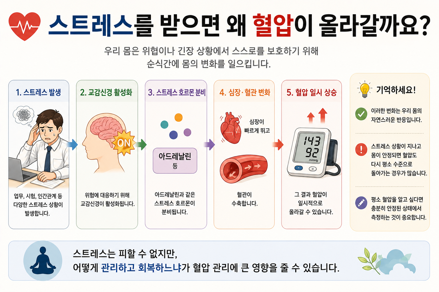 스트레스 교감신경과 아드레날린 반응으로 혈압이 일시 상승할 수 있는 과정
