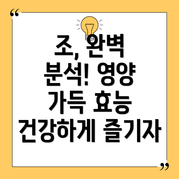 조