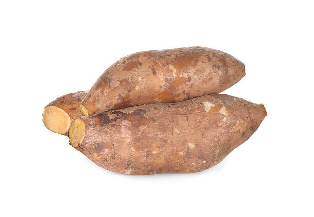 야콘 효능 10가지와 부작용 및 먹는법