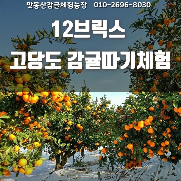 제주 그린향 맛동산감귤체험농장