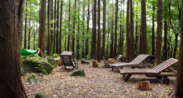 봄에 떠나기 좋은 여행지