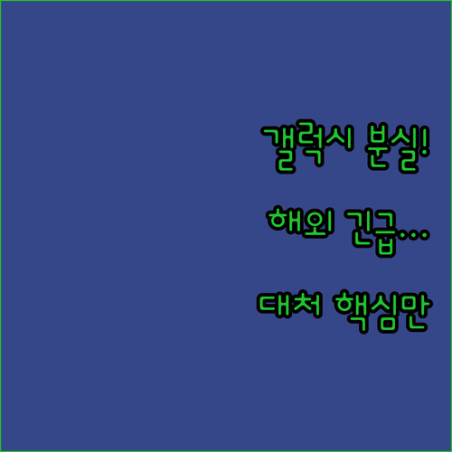삼성 갤럭시 자급제폰 해외 분실 직후..