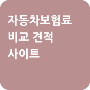 자동차보험료-비교견적-사이트