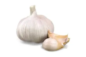 마늘