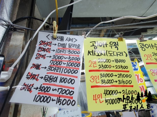 강릉 도마횟집 중앙횟집 메뉴